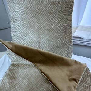 Designer Velvet Accent Pillow Covers - set of 2